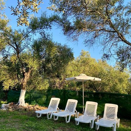Endless Green: Feel Free And Cozy In Nature Perivólion Exteriér fotografie