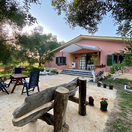 Endless Green: Feel Free And Cozy In Nature Perivólion Exteriér fotografie