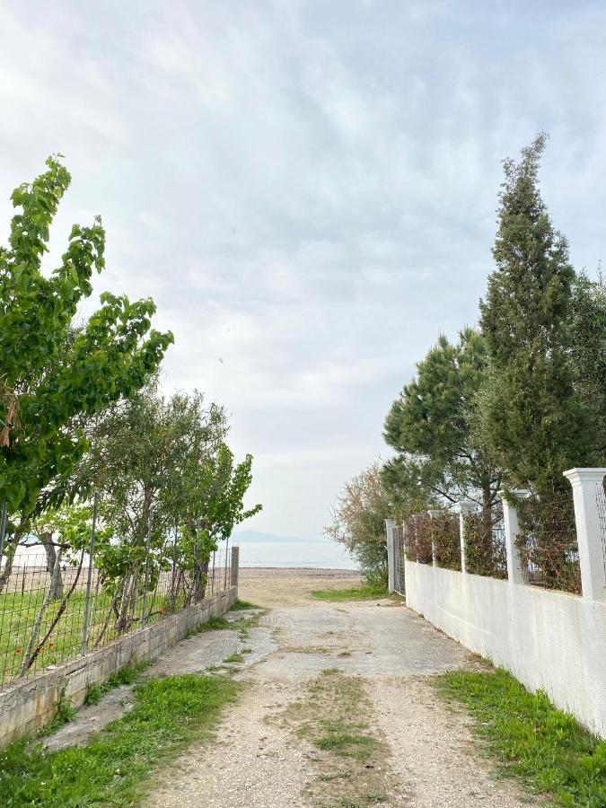Endless Green: Feel Free And Cozy In Nature Perivólion Exteriér fotografie