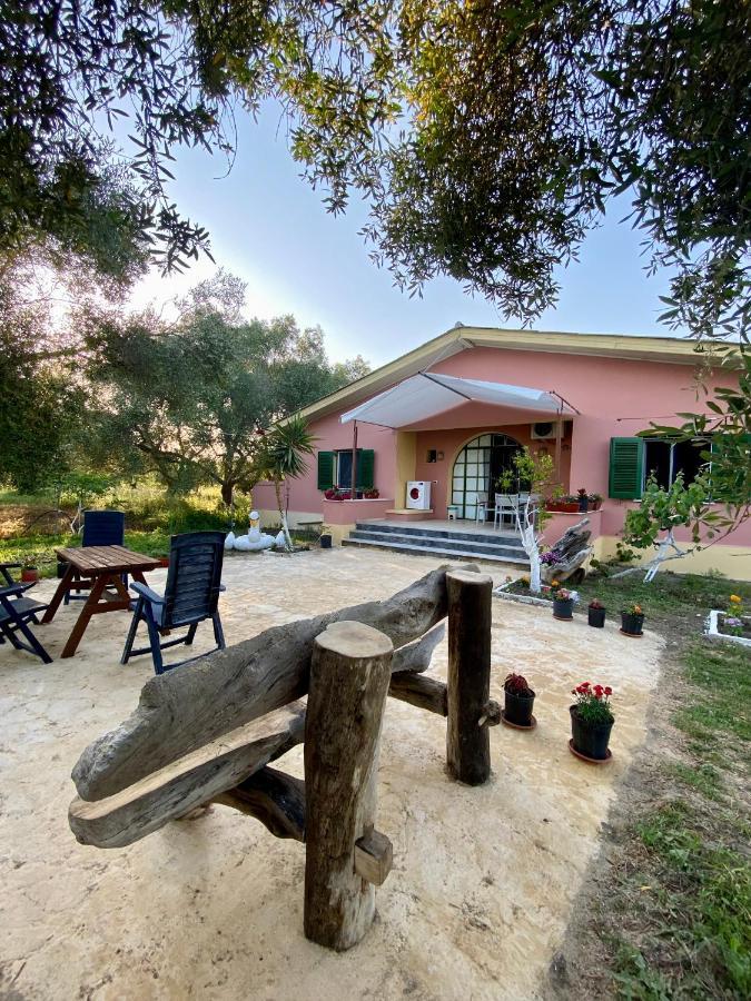 Endless Green: Feel Free And Cozy In Nature Perivólion Exteriér fotografie